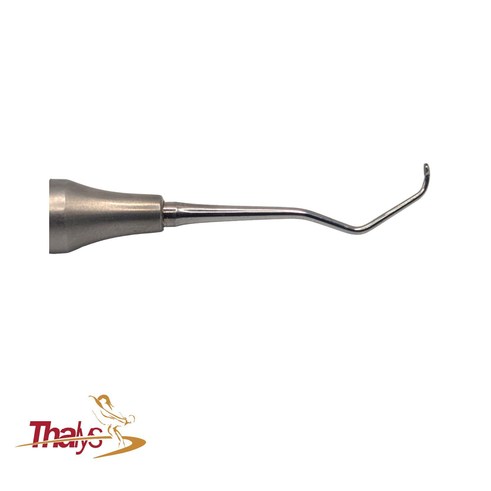 Cureta DeMarco vista 3