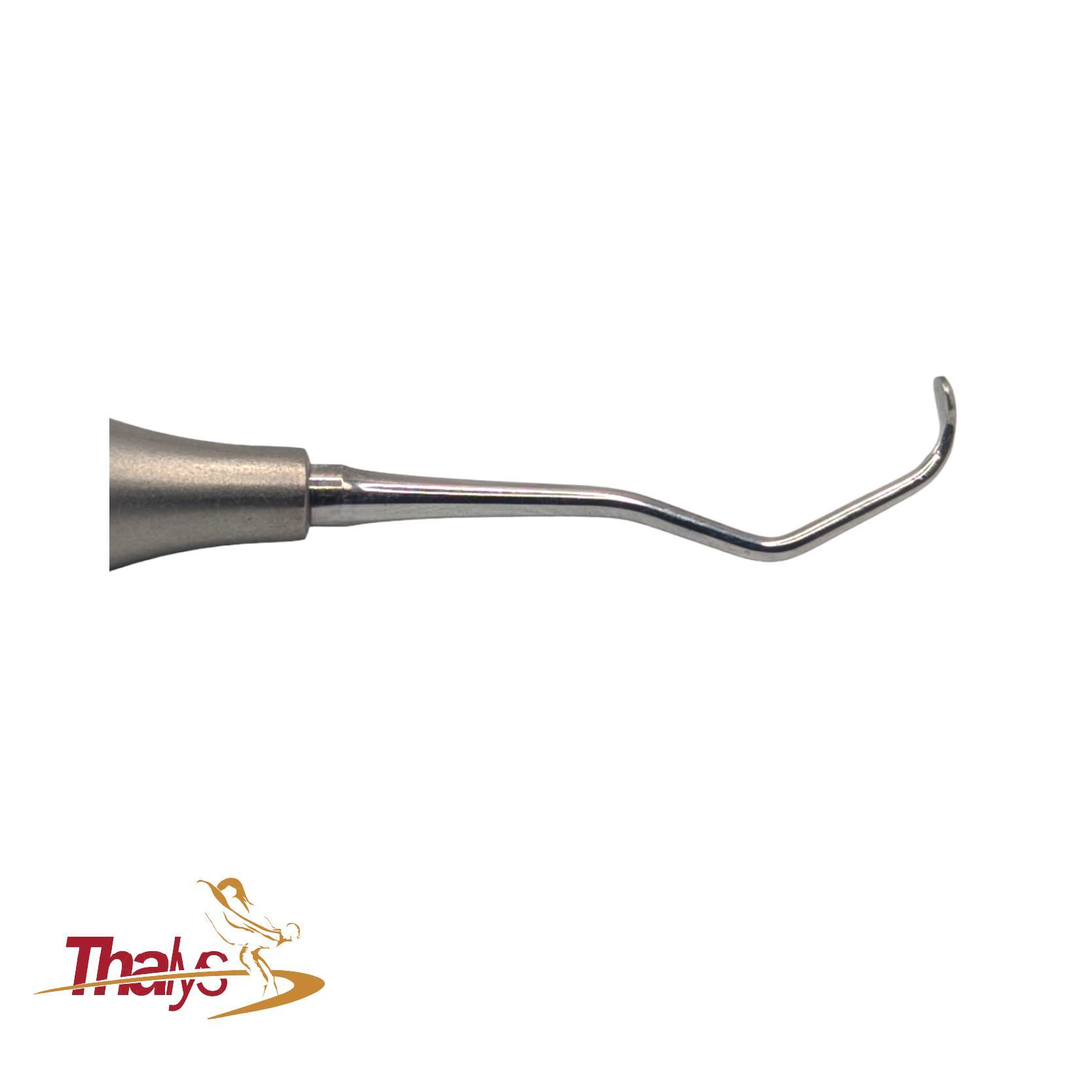 Cureta DeMarco vista 3